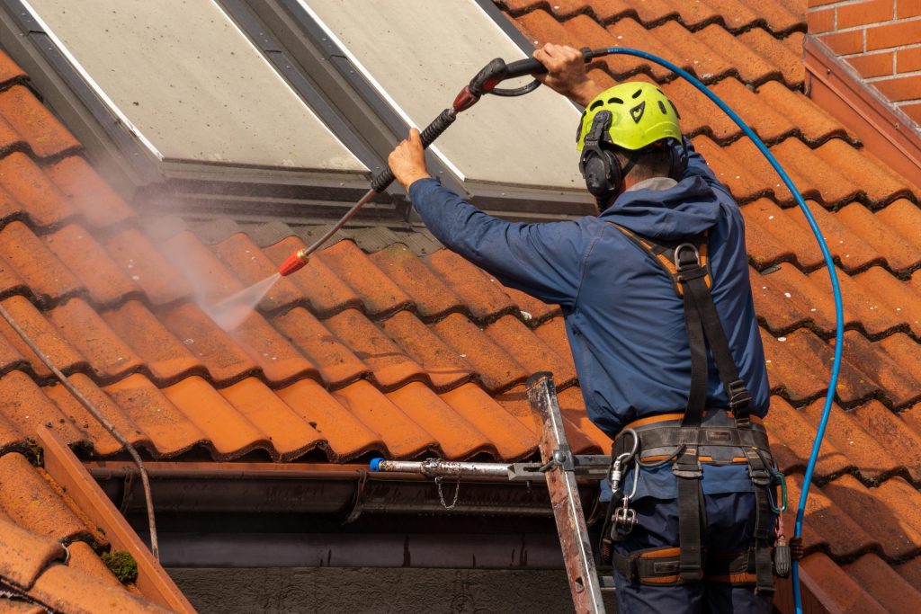 Roof Washing Services