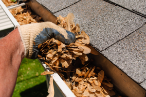 Gutter Cleaning