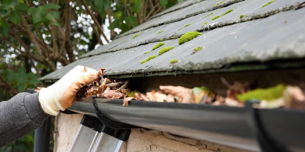 Gutter Cleaning