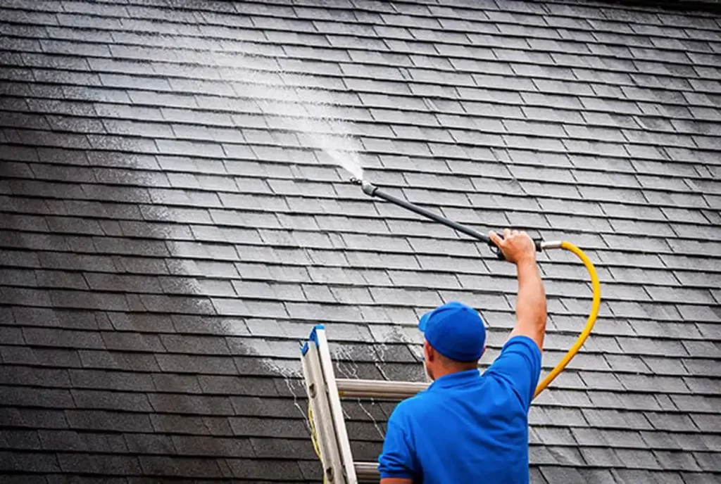 Roof Washing Services