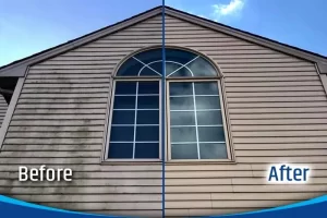 How to soft wash a house